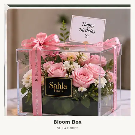 Bloom Box Scbd